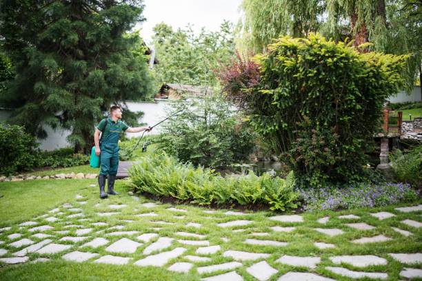 Best Best Pest Control Companies  in Greensboro, NC