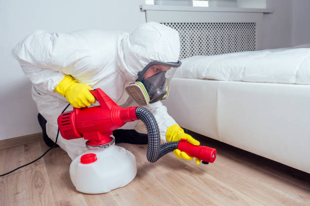 Best Pest Control for Homes  in Greensboro, NC