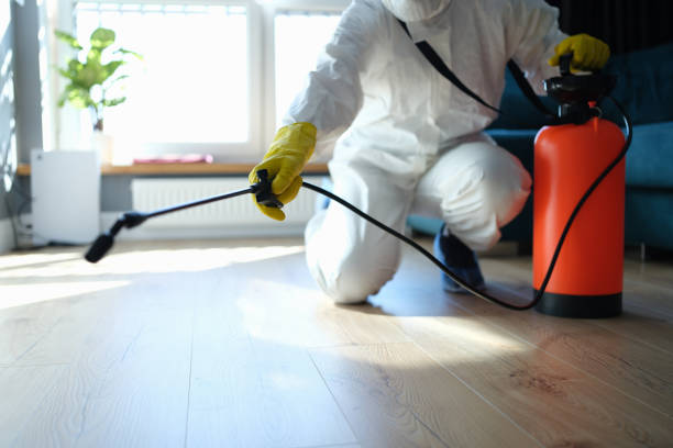 Reliable Greensboro, NC Pest Control Solutions
