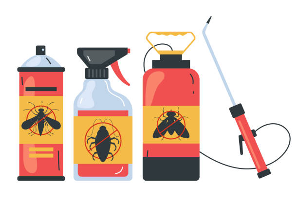 Wasp Removal Services in Greensboro, NC