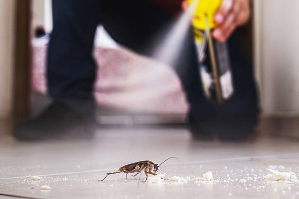 Professional Pest Control in Greensboro, NC